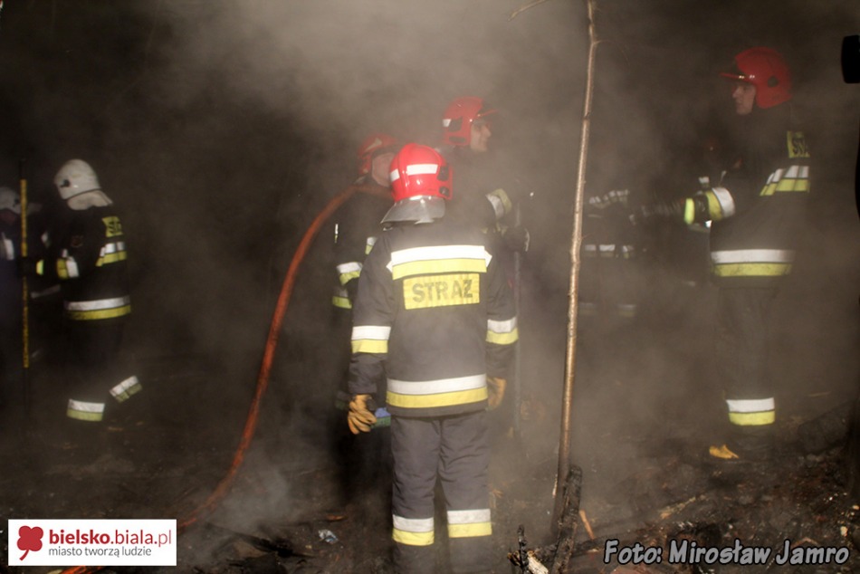Policja: to mogły być podpalenia - foto