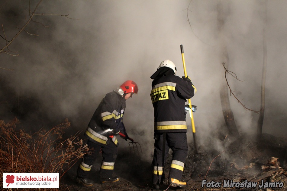 Policja: to mogły być podpalenia - foto