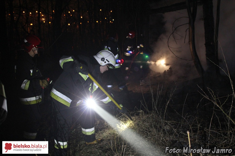 Policja: to mogły być podpalenia - foto