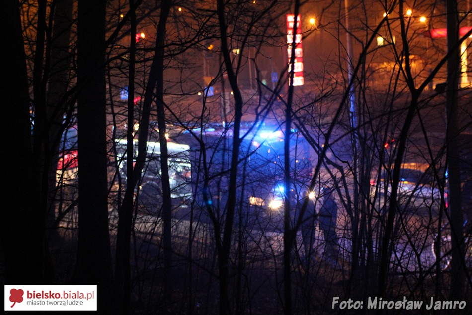 Policja: to mogły być podpalenia - foto