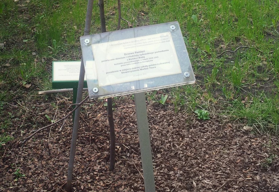 Złamana pamięć - foto