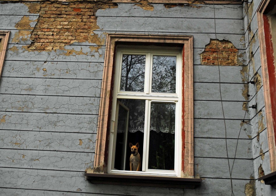 Dobry dom, ale lokatorzy nie tacy