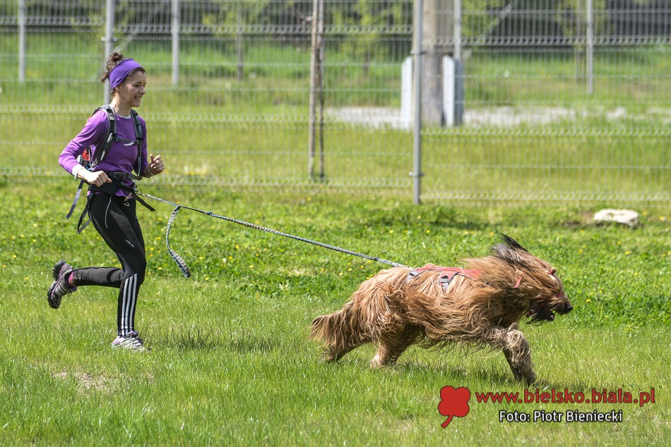 Wyścig z psami