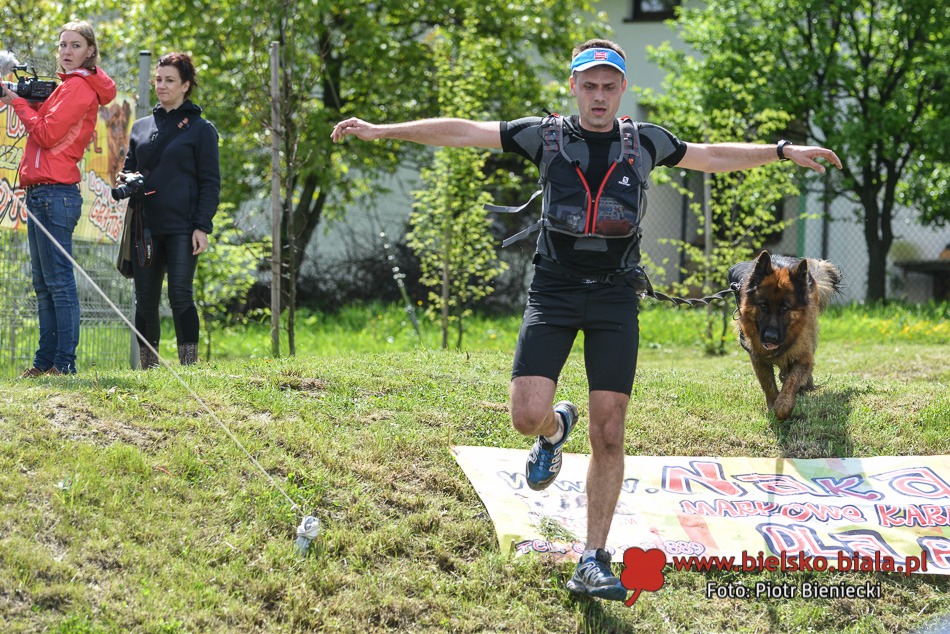 Wyścig z psami