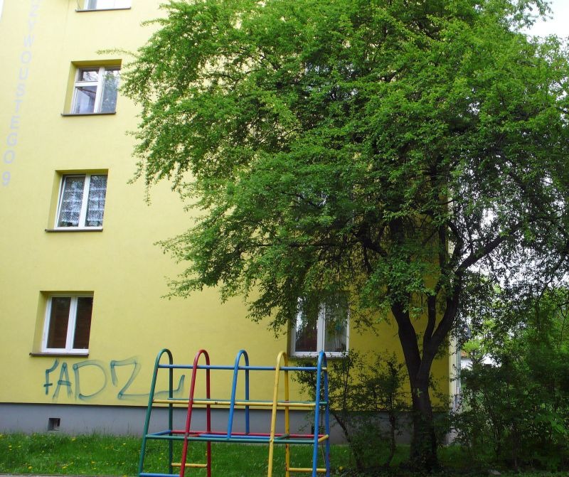 Mieszkańcy żądają wycinki
