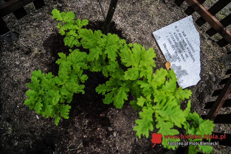 Połączyła ich piękna idea - foto