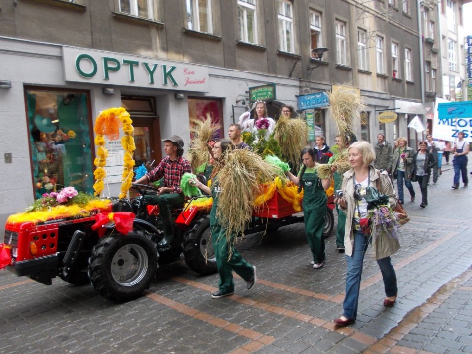 Kolorowo przed ratuszem - foto