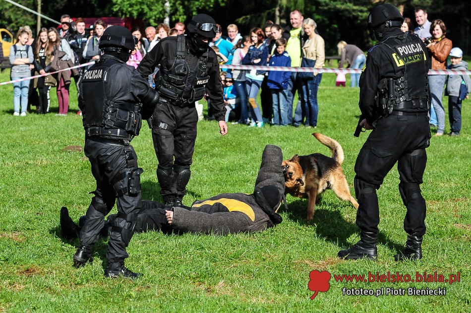 Pokazy na Błoniach