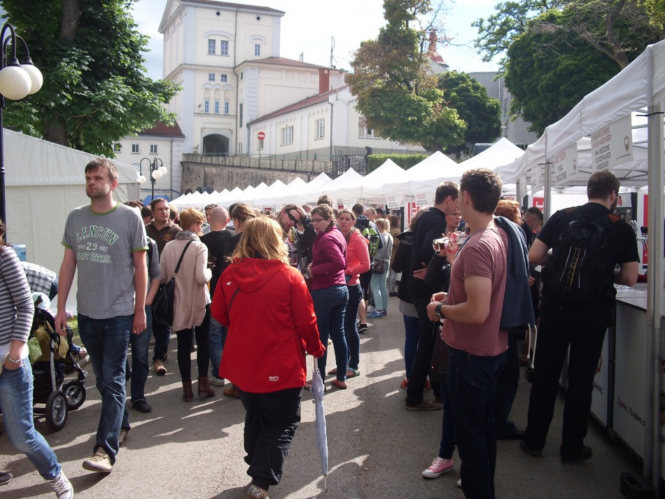 Jasne czy ciemne - czas na decyzje