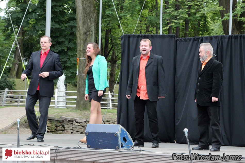 Festyn ludzi dobrej woli - foto