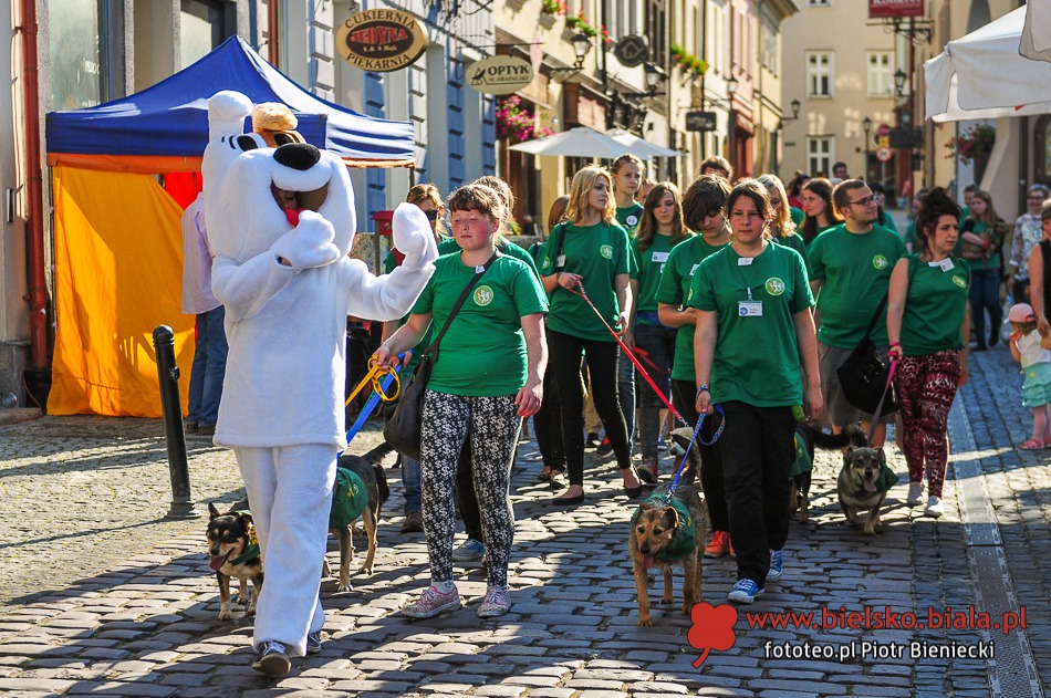 Parada bezdomnych na Rynku - galeria