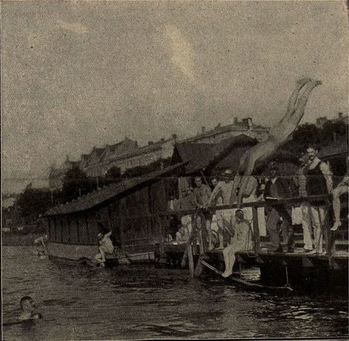 Bezwstydnicy nad morzem