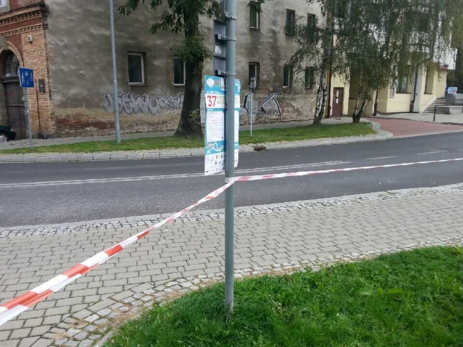 Ewakuacja bielskiego ratusza - foto