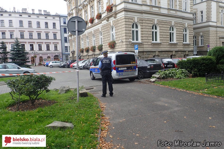 Ewakuacja bielskiego ratusza - foto
