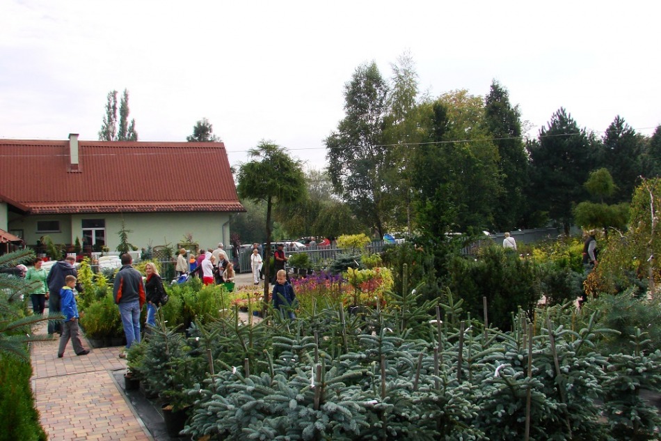 Pokazowy ogród w mieście - galeria