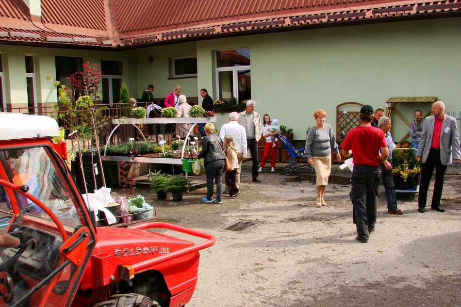 Pokazowy ogród w mieście - galeria