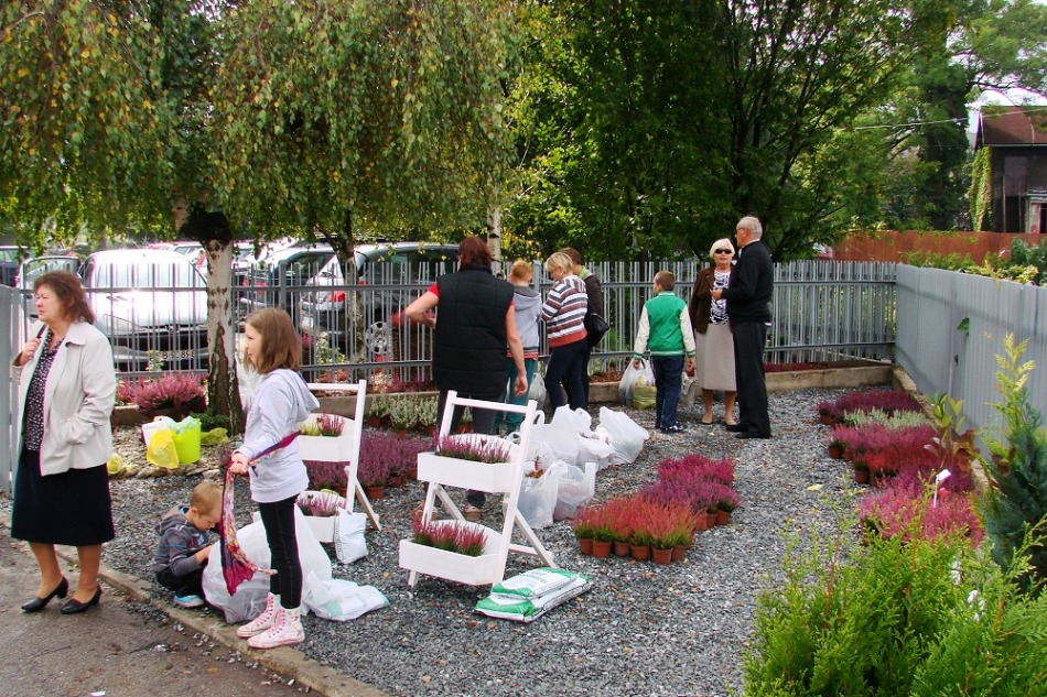 Pokazowy ogród w mieście - galeria