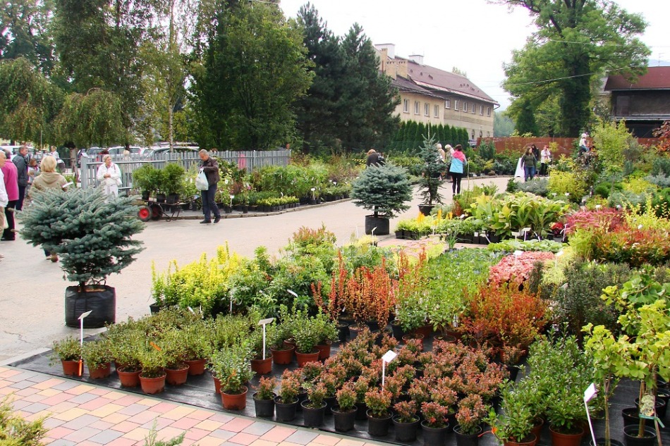 Pokazowy ogród w mieście - galeria