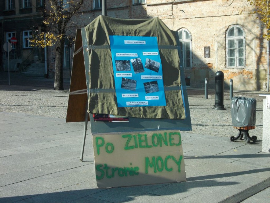 Obandażowane drzewa na Rynku - foto