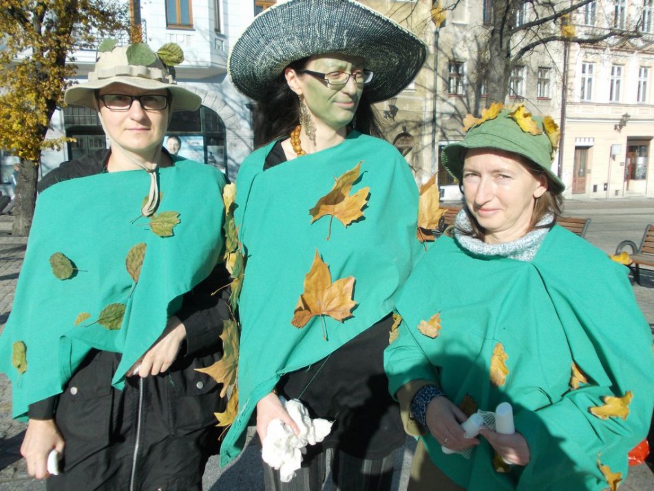 Obandażowane drzewa na Rynku - foto