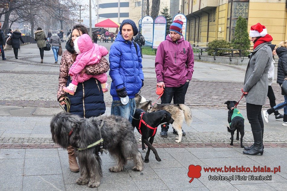 Niezwykła choinka w centrum - galeria