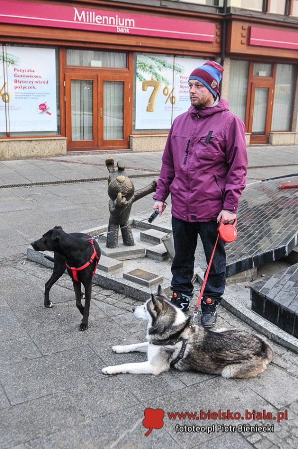 Niezwykła choinka w centrum - galeria