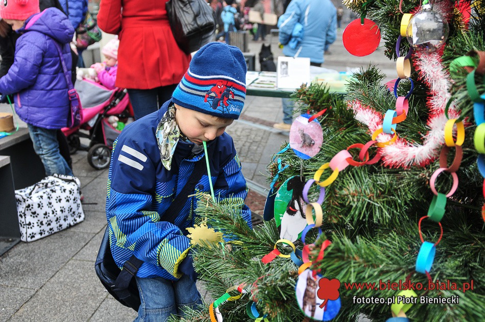 Niezwykła choinka w centrum - galeria