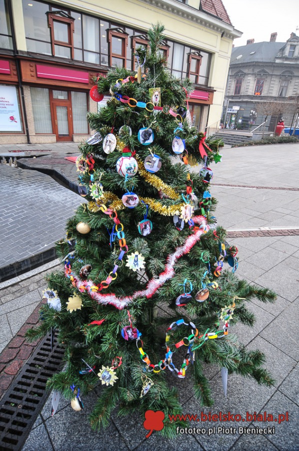 Niezwykła choinka w centrum - galeria