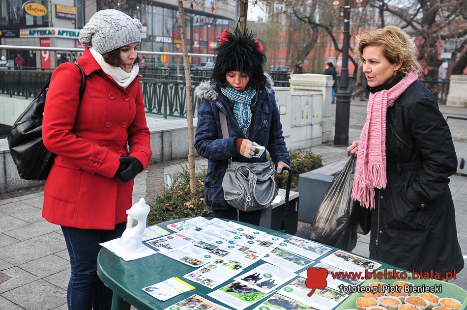 Niezwykła choinka w centrum - galeria