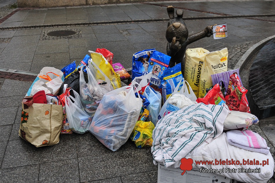 Bielszczanie pomagają bezbronnym - foto