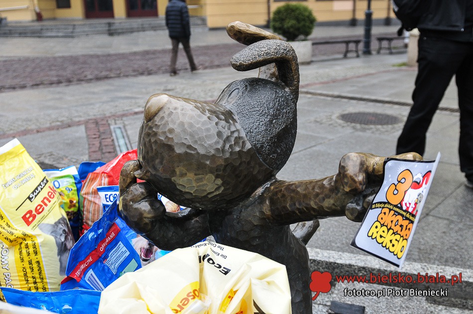 Bielszczanie pomagają bezbronnym - foto