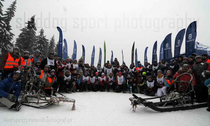 Sukces w psiej elicie - foto