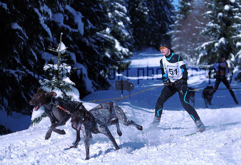 Sukces w psiej elicie - foto