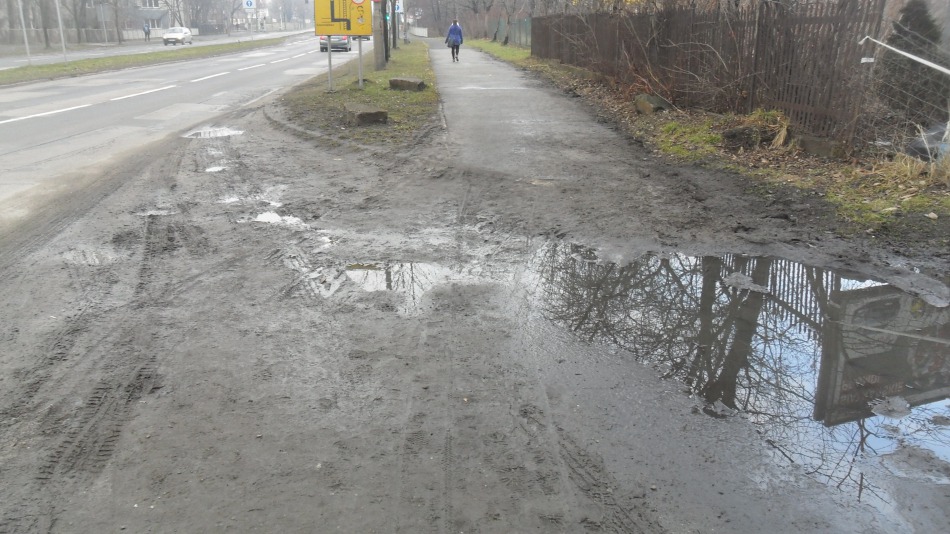Zaniedbana wizytówka Bielska-Białej - foto