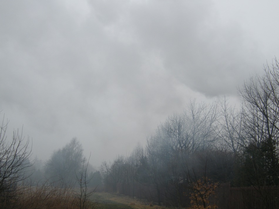 Boją się o swoje życie - foto
