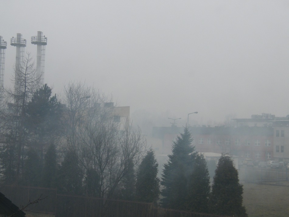 Boją się o swoje życie - foto