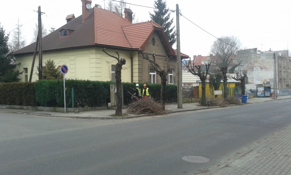 Umierają bez korony