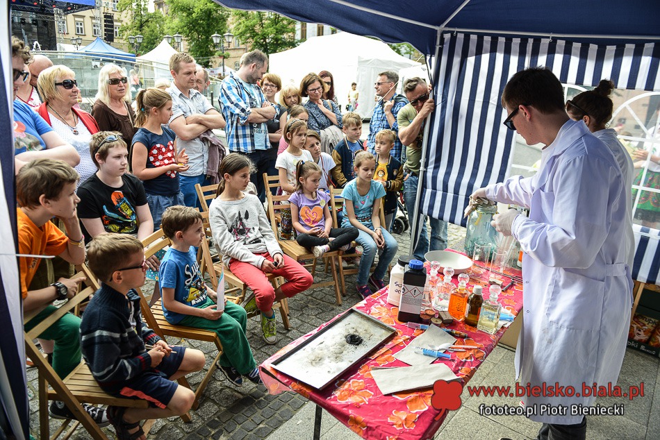 Fascynujący świat w namiocie - foto