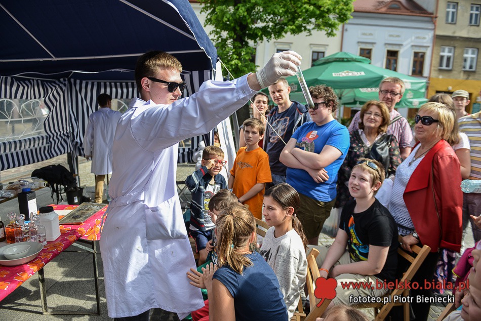 Fascynujący świat w namiocie - foto