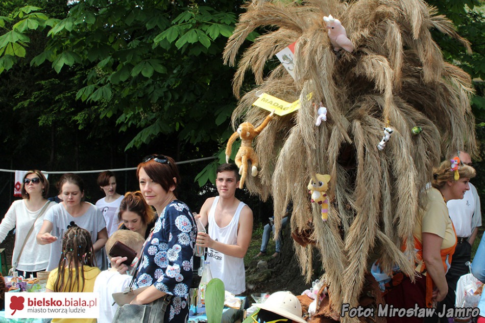 Sukces pikniku szkolnego - foto