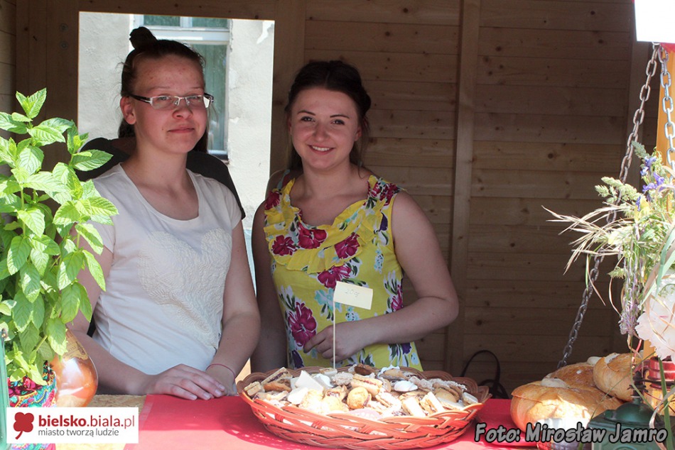 Udany festyn w Gastronomie - galeria
