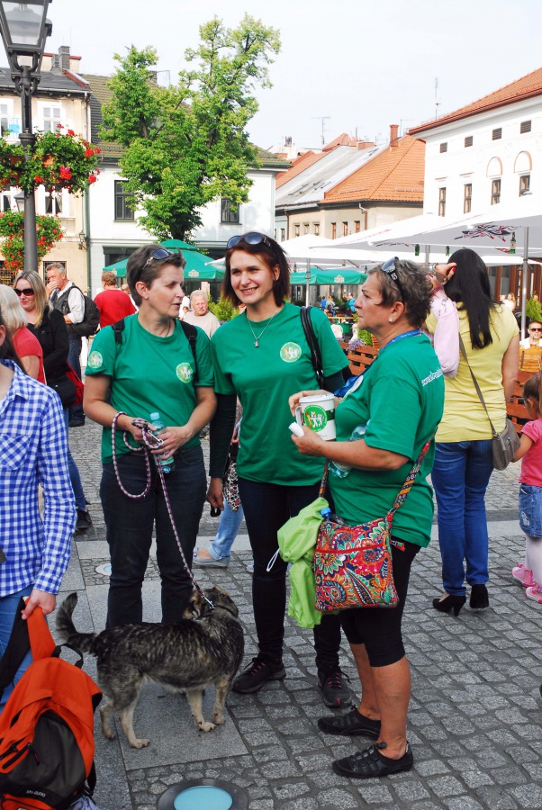 Parada bezdomnych na Rynku - foto