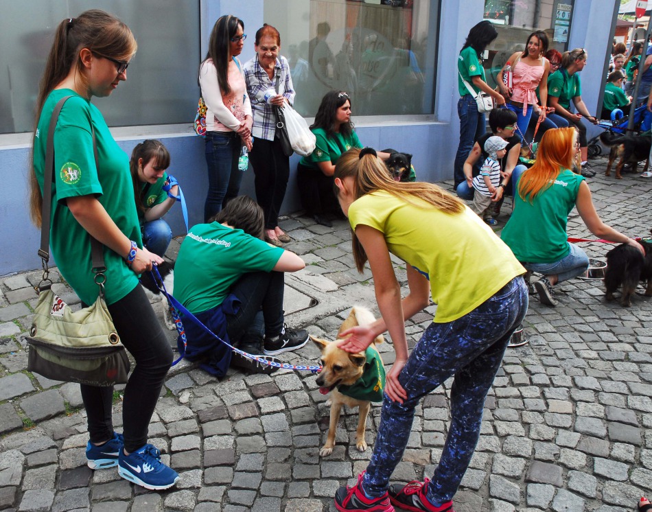 Parada bezdomnych na Rynku - foto