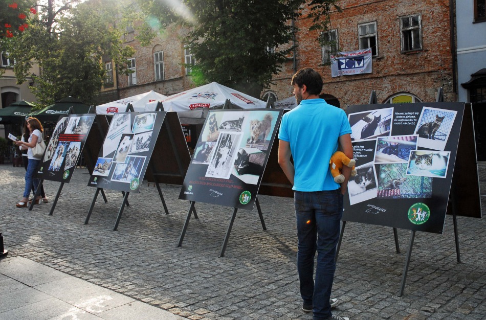 Parada bezdomnych na Rynku - foto