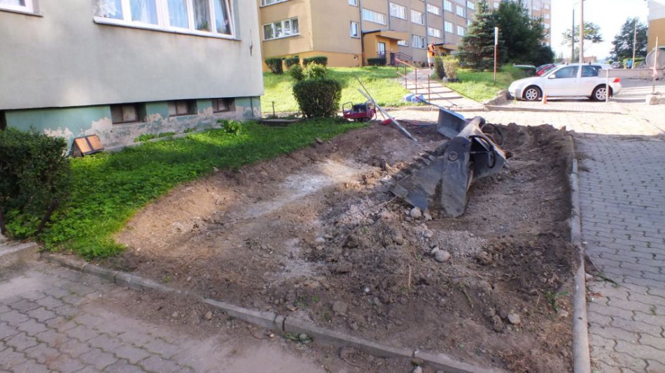 Kara za nielegalną wycinkę