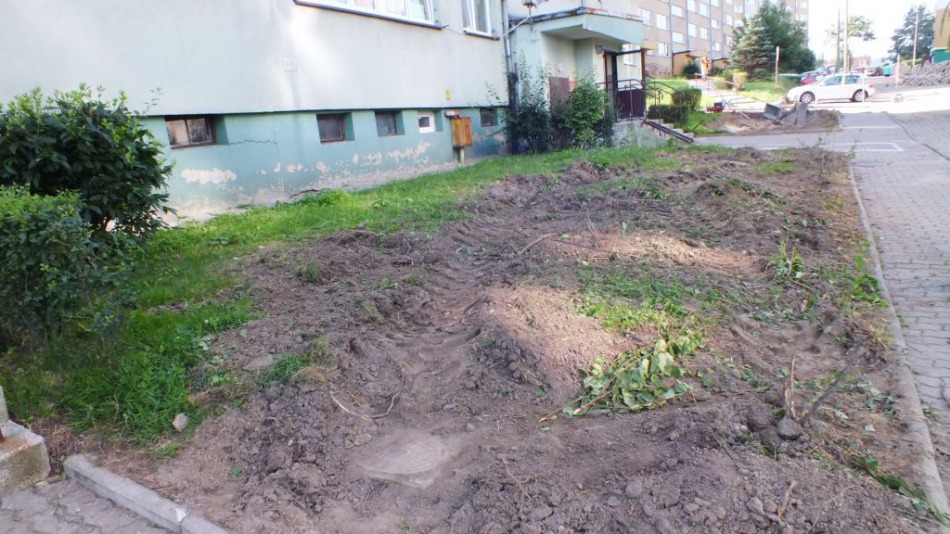 Kara za nielegalną wycinkę