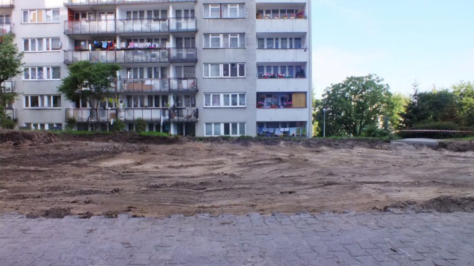 Kara za nielegalną wycinkę