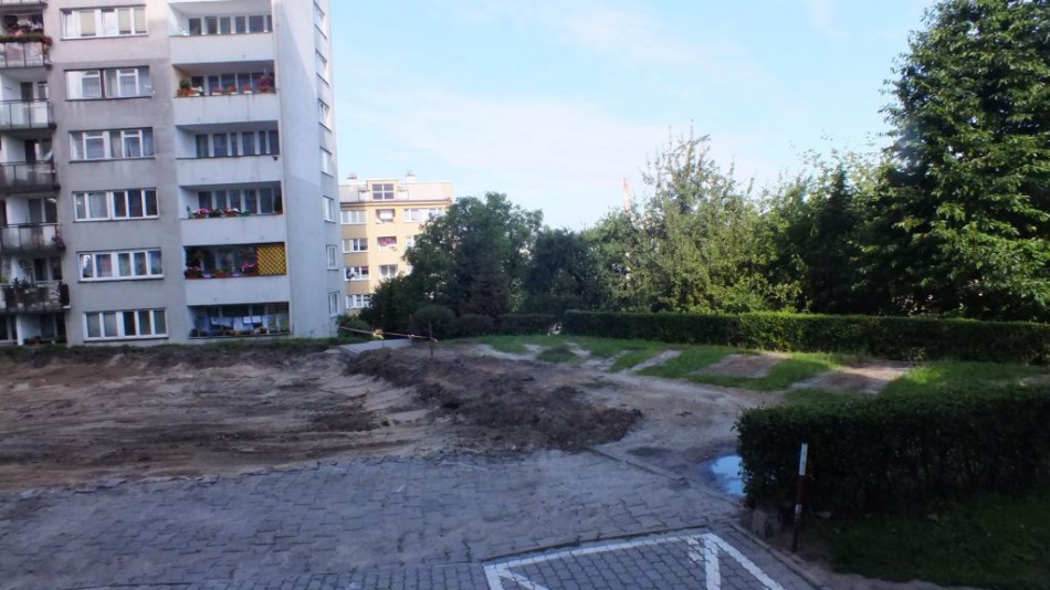 Kara za nielegalną wycinkę