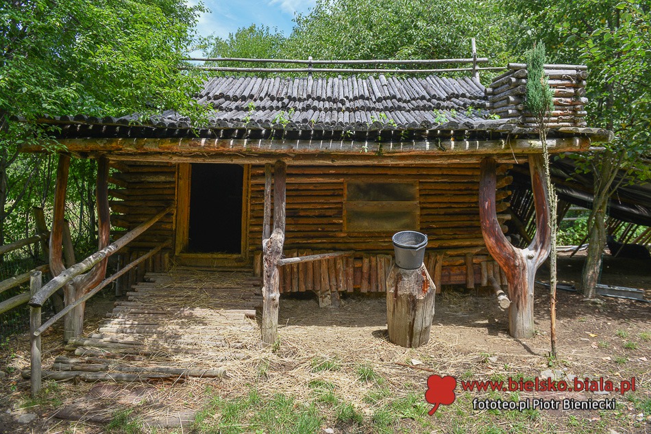 Zaczarowany ogród w Milówce - galeria