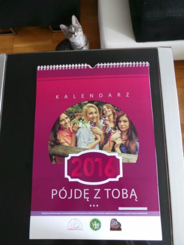Piękne podsumowanie wakacji
